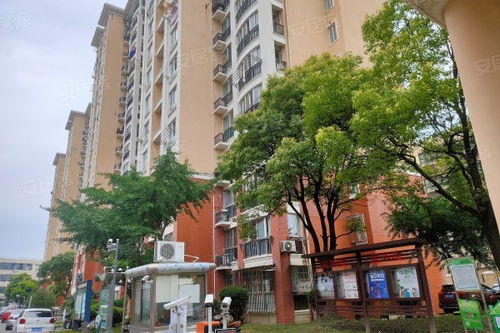 三林世博家园 k 优点 不足,三林世博家园 k 怎么样,三林世博家园 k 周边房产中介经纪人评价