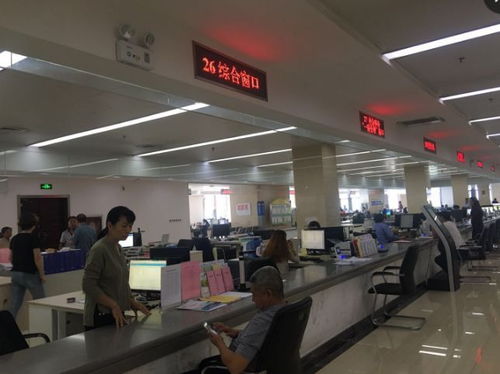 需存 这几个服务窗口新进驻政务服务事项,办理业务的市民要看清