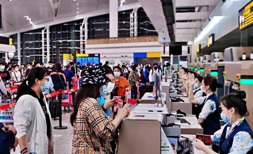 疫情下的求学之路怎么走 这里有参考答案