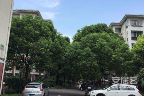 三林世博家园 e区 优点 不足,三林世博家园 e区 怎么样,三林世博家园 e区 周边房产中介经纪人评价