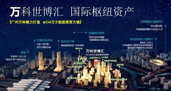 万科世博汇,南站枢纽,首期15万拿下永久资产