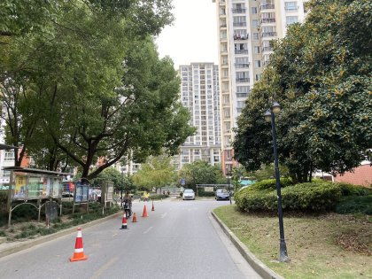 三林世博家园D区综合评估 优缺点、居住体验及周边服务解析